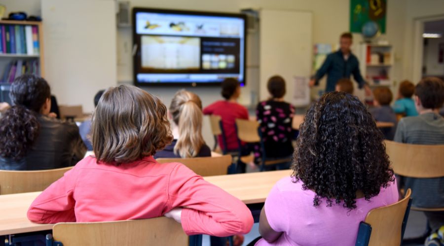 pic of classroom backs of heads of pupils