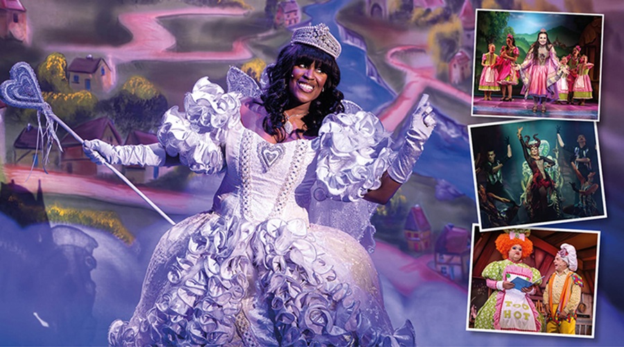 sleeping beauty panto