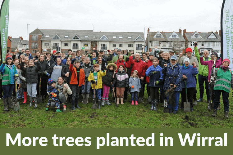 Large group of people at one of the plantings with the words 'More trees planted in Wirral'