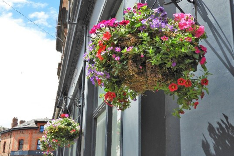 Hanging baskets full of colourful flowers