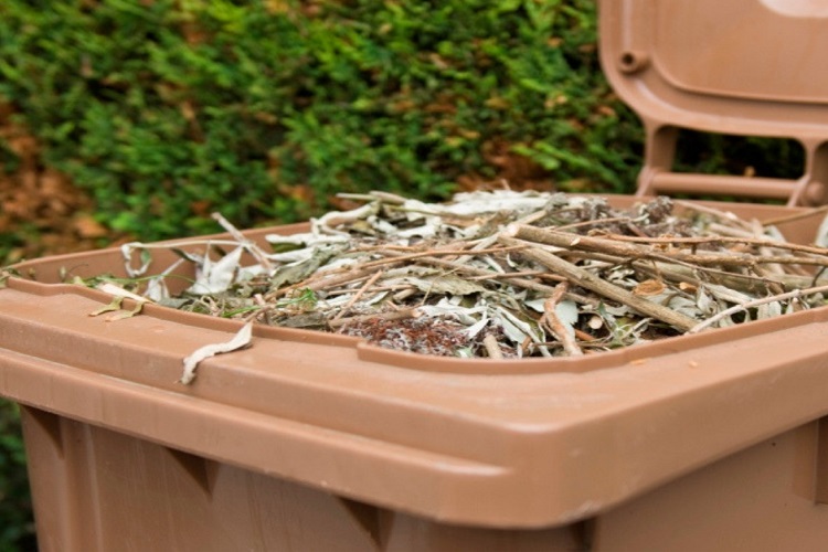 Brown wheelie bin with the lid open and garden waste inside 