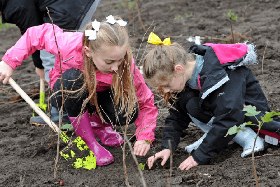 Children planting trees at Citrine Park in Wallasey
