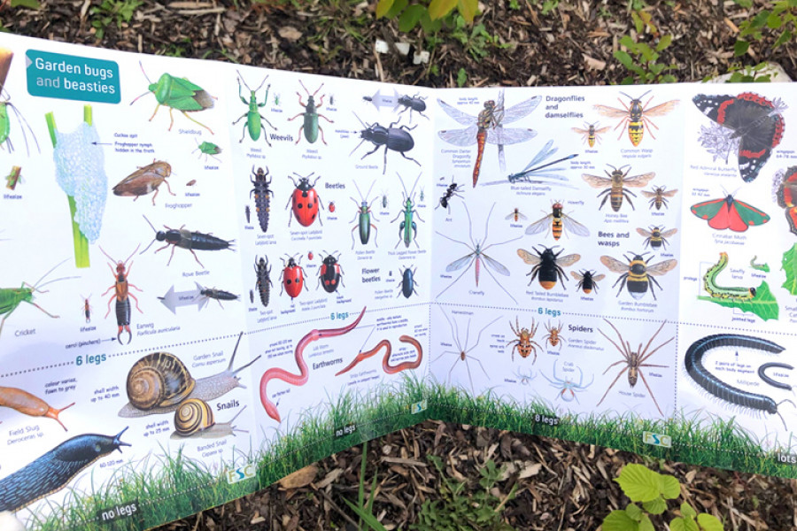 A nature information board at Citrine Park in Wallasey
