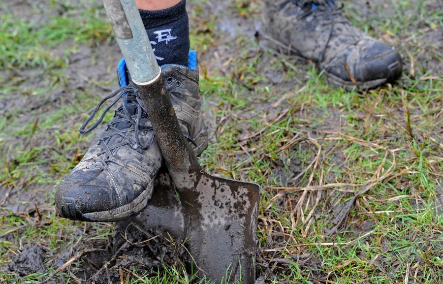Close up of a foot pushing a spade into the ground to plant a tree