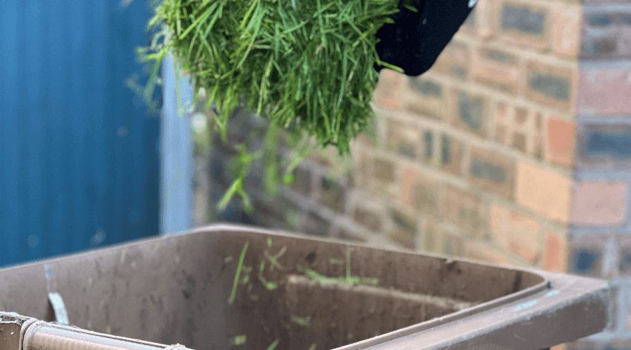 Grass cuttings being put into a brown bin