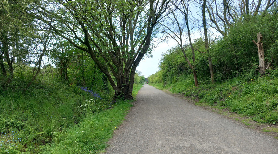 Wirral Way in Wirral Country Park