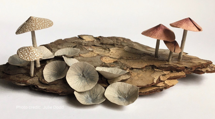 Photo of fungi made out of paper and card.