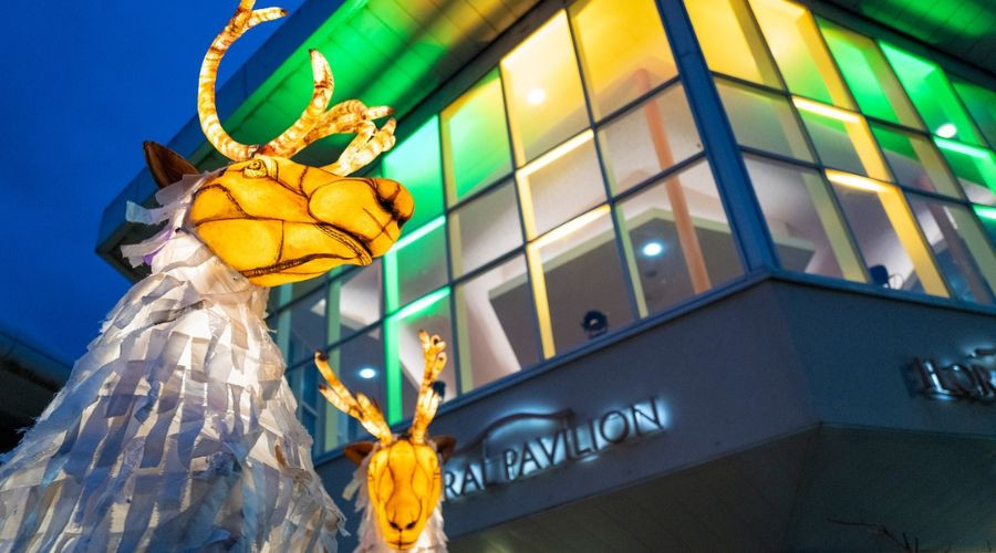 Photo of two illuminated Caribou outside the entrance to the Floral Pavilion