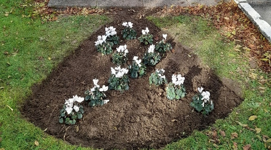 An example of a white ribbon flower arrangement