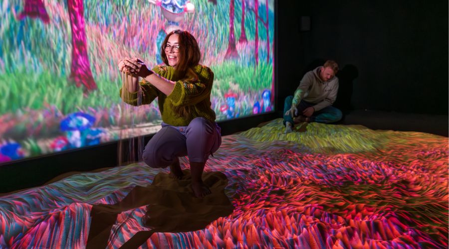 subterranean elevator exhibition at the Williamson art gallery