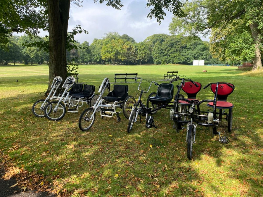A variety of adaptive bicycles and tricycles, including handcycles and tandem tricycles, are parked on grass under a large tree in a park.