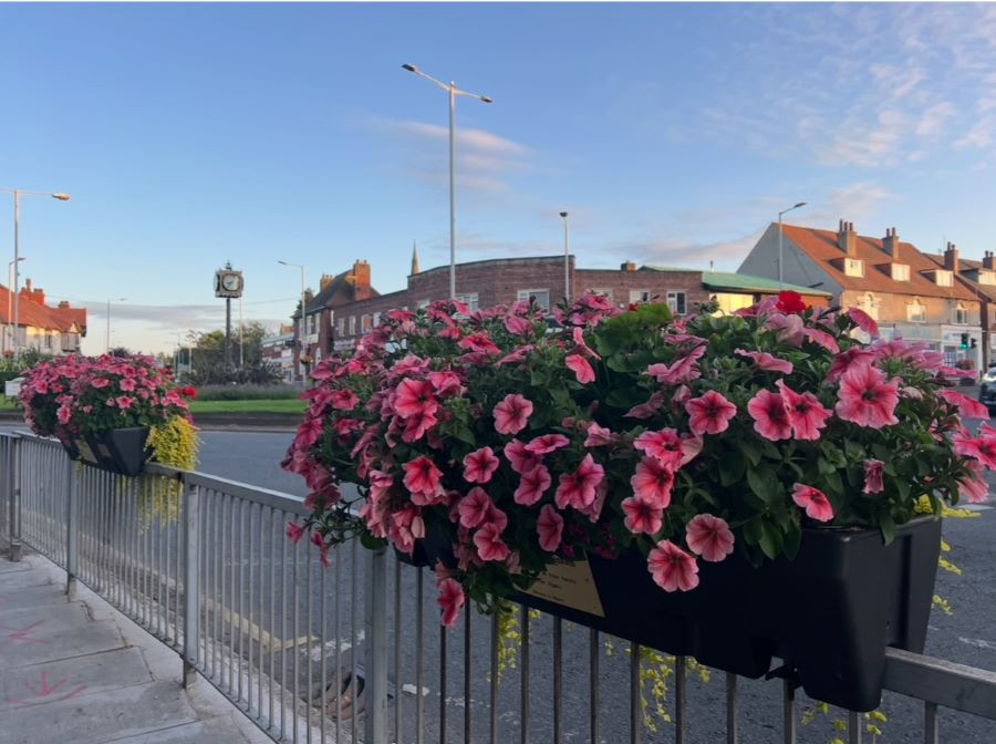 An image showing flower planters in full bloom