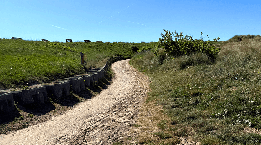A photo of a part of the North Sea Defence Access Road with a winding path, greenery either side and sand in the foreground