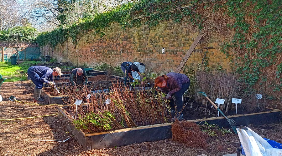 Volunteers working on the community tree nursery at Dibbinsdale