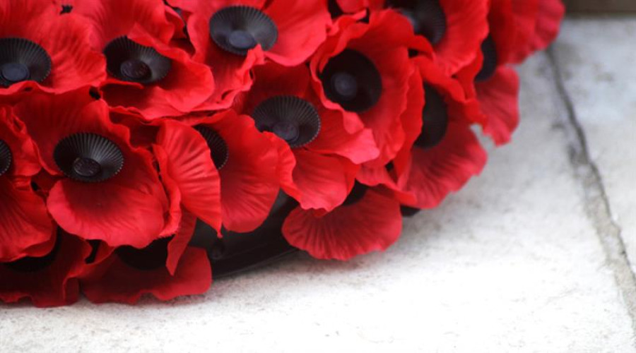 poppies