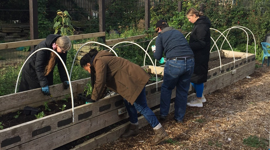A photo showing Faith4Change leading a community growing programme