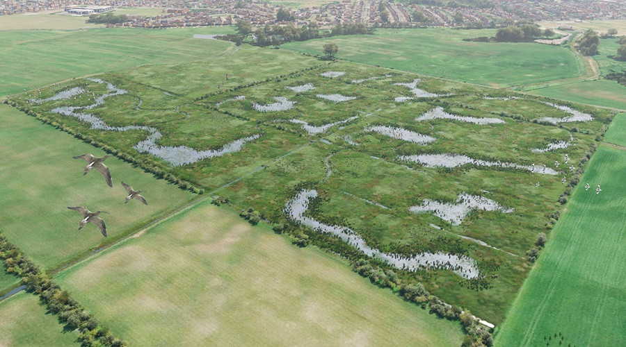 Hoylake Carrs site after wetland restoration with ponds visible