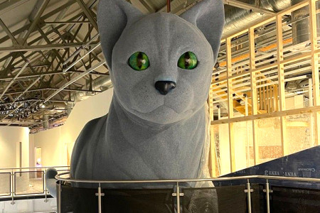 Large cat exhibit in situ at Eureka! Wirral