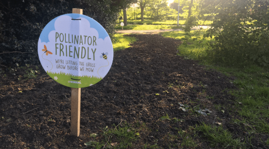 Pollinator sign in the forefront that says 'Pollinator Friendly, we're letting the grass grow before we mow'
