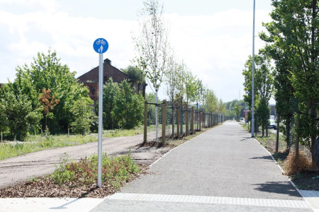 Image of cycle lane and pathway (at Beaufort Road and Wallsey Bridge Road) showing the path surrounded by trees and greenery