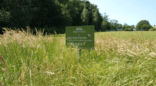 Long grass with a sign in the middle that says 'Let's bee friends! Birkenhead Park pollinator beds. Wild bed.'