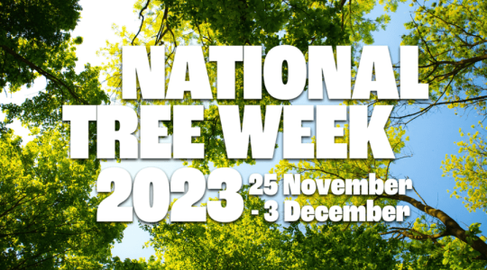 Green leafy trees in the background with the text 'National Tree Week 2023 25 November to 3 December'