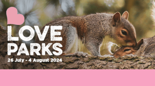 Picture of a grey squirrel with the text 'Love Parks 26 July to 4 August 2024'