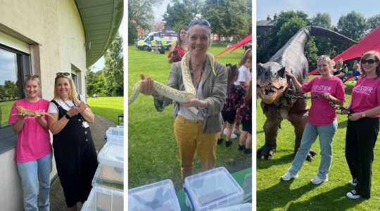 A collage of three images showing members of the fostering team having in the park