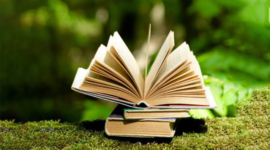 Photo of a pile of books, with the top one open showing all of its leaves.