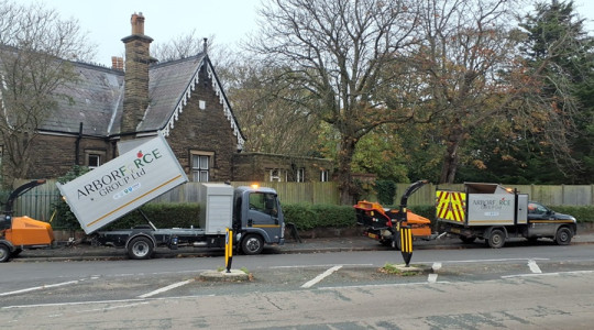 A photo showing Arborforce vehicles