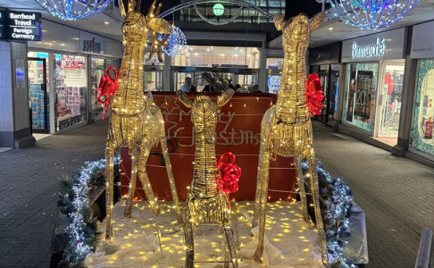 sparkling reindeer shaped lights on Liscard Way