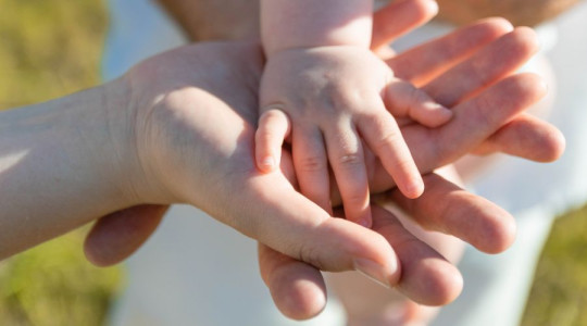 Family Holding Hands