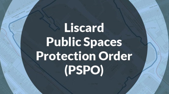 Graphic promoting Liscard PSPO consultation