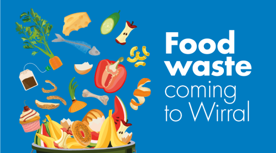 Food waste graphic