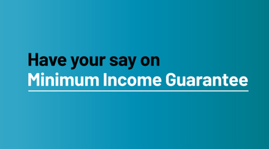 text on blue background reads 'have your say on minimum income guarantee'