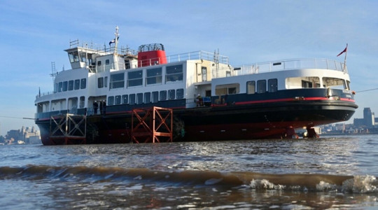 Royal Daffodil on Mersey