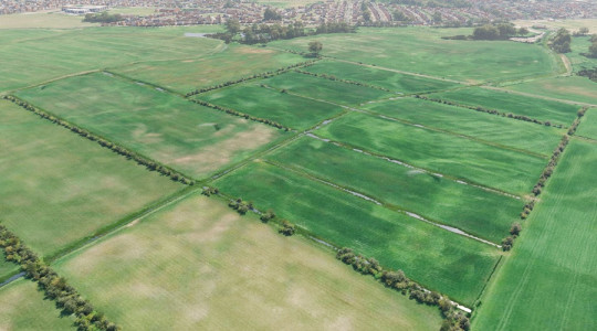 Hoylake Carrs site at present