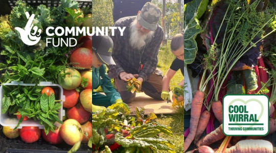 A graphic promoting the Thriving Communities programme