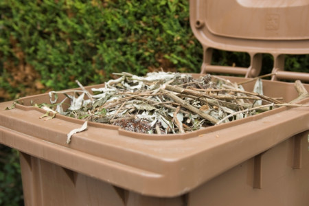 brown wheelie bin filled with garden waste including twigs, branches and leaves