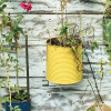 Recycled brightly painted tins as planters attached to reclaimed wooden wall
