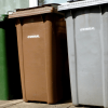 Picture of green, brown and grey wheelie bins