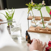 scientist working on fragrances
