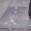 Stock image of dried chewing gum on a pavement