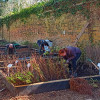 Volunteers working on the community tree nursery at Dibbinsdale
