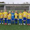 Ten young children in yellow and blue football kits standing in a line on a green pitch in front of a goalpost. One child in the middle wears a different kit, likely the goalkeeper. They are smiling and look ready to play. The image shows a local youth football team, highlighting community sports for children.