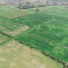 Hoylake Carrs site at present