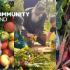 A graphic promoting the Thriving Communities programme