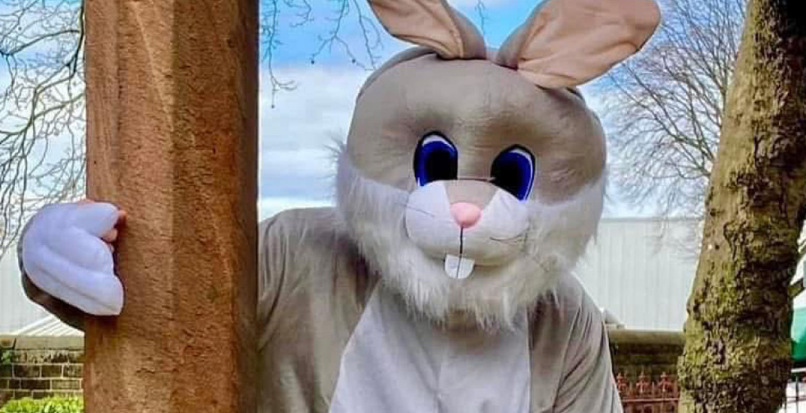 Easter bunny charater close up