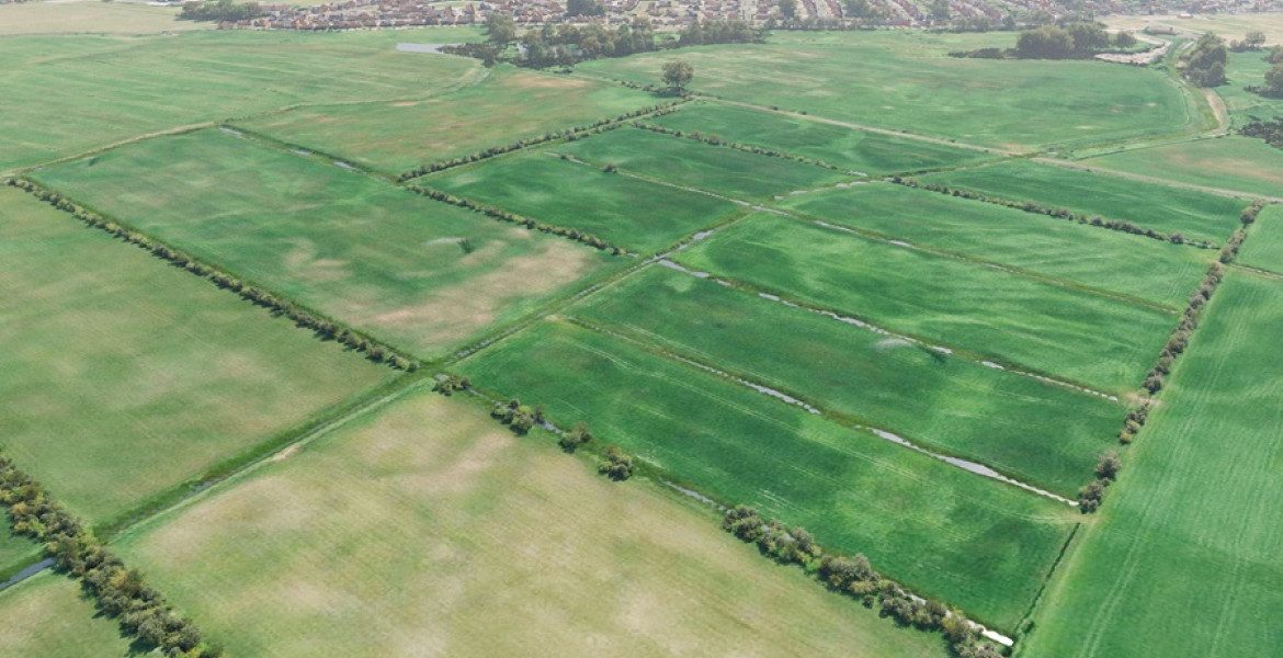 Hoylake Carrs site at present