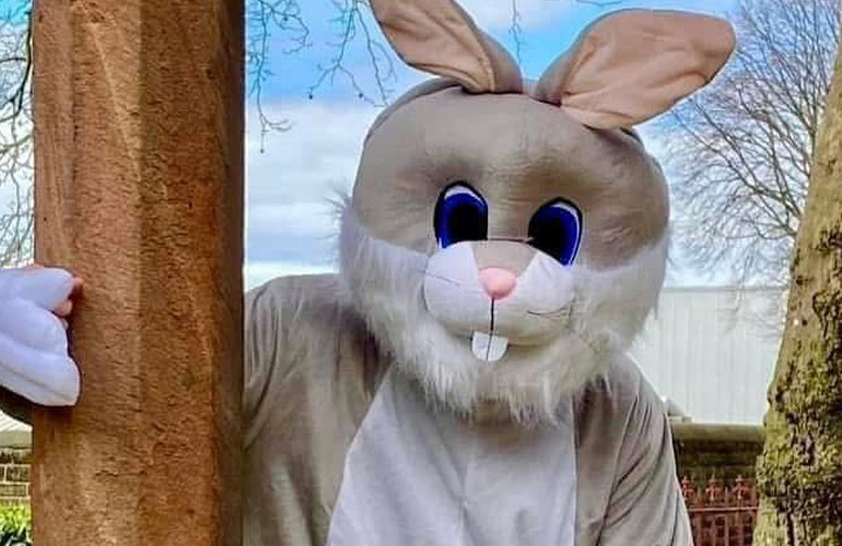 Easter bunny charater close up